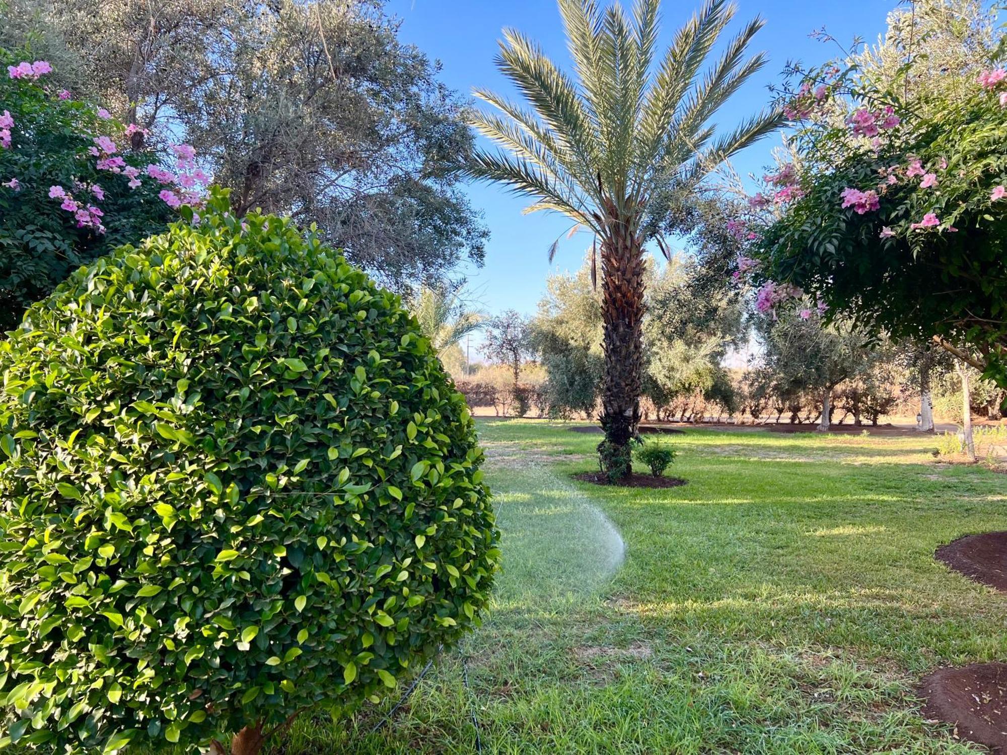 Le Domaine De Carole Marrakech Bed & Breakfast Douar Akkara Bagian luar foto