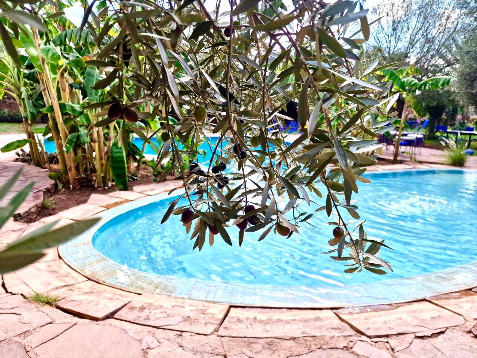 Le Domaine De Carole Marrakech Bed & Breakfast Douar Akkara Bagian luar foto